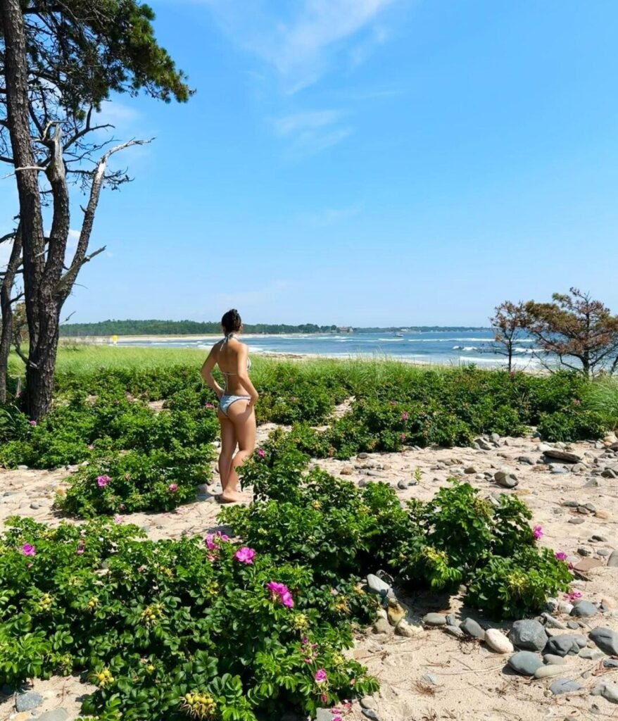 Enjoy Coastal Charm on Drakes Island Beach Image by sophia.beston